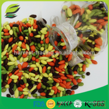 chocolate coated sunflower seeds chocolate beans